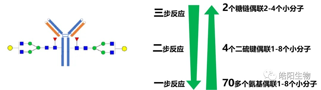 15.png 15.png